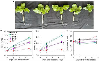 Impacts of Reduced Nitrate Supply on Nitrogen Metabolism, Photosynthetic Light-Use Efficiency, and Nutritional Values of Edible Mesembryanthemum crystallinum